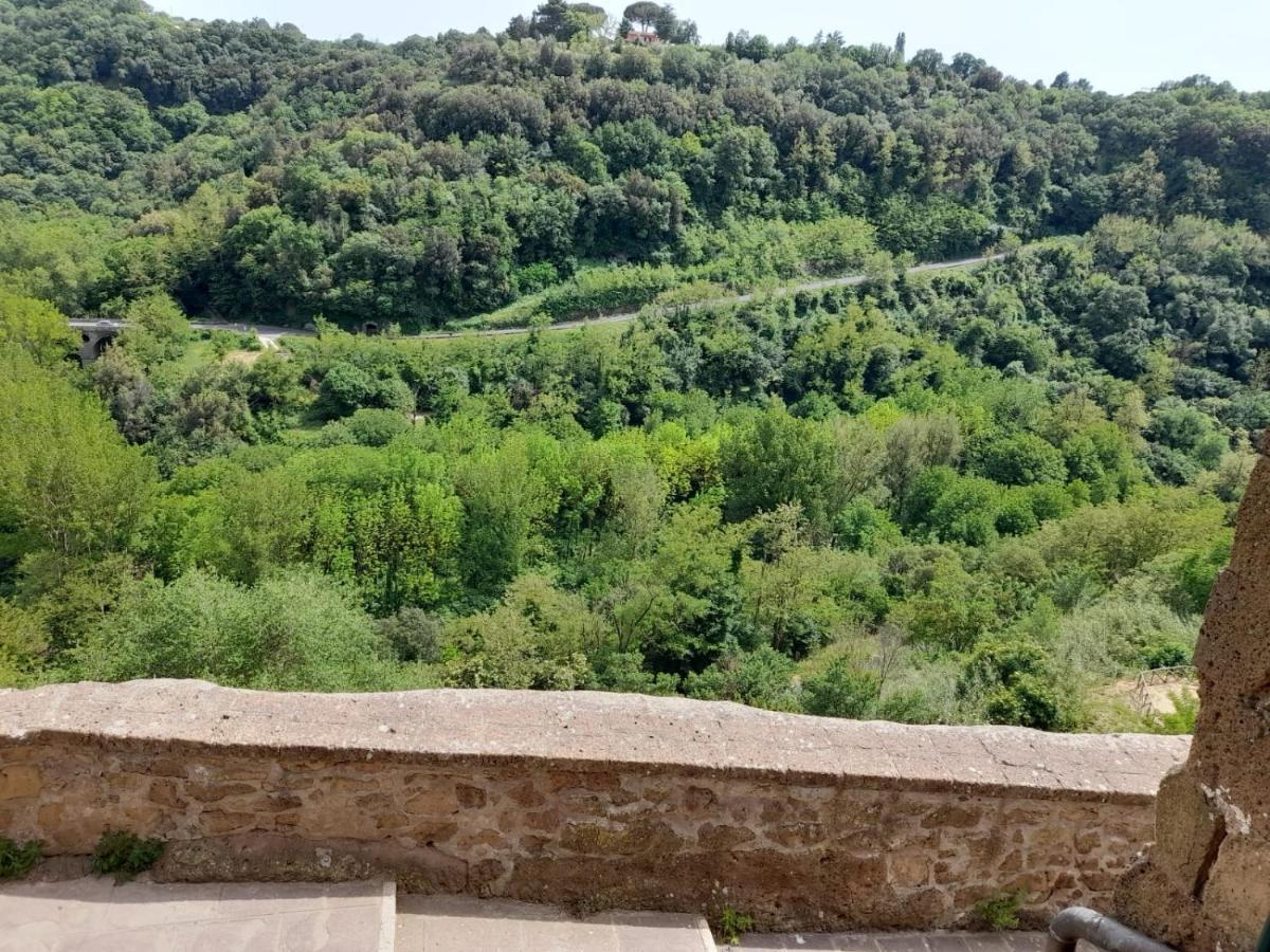 Il Gelsomino Apartment Pitigliano Kültér fotó